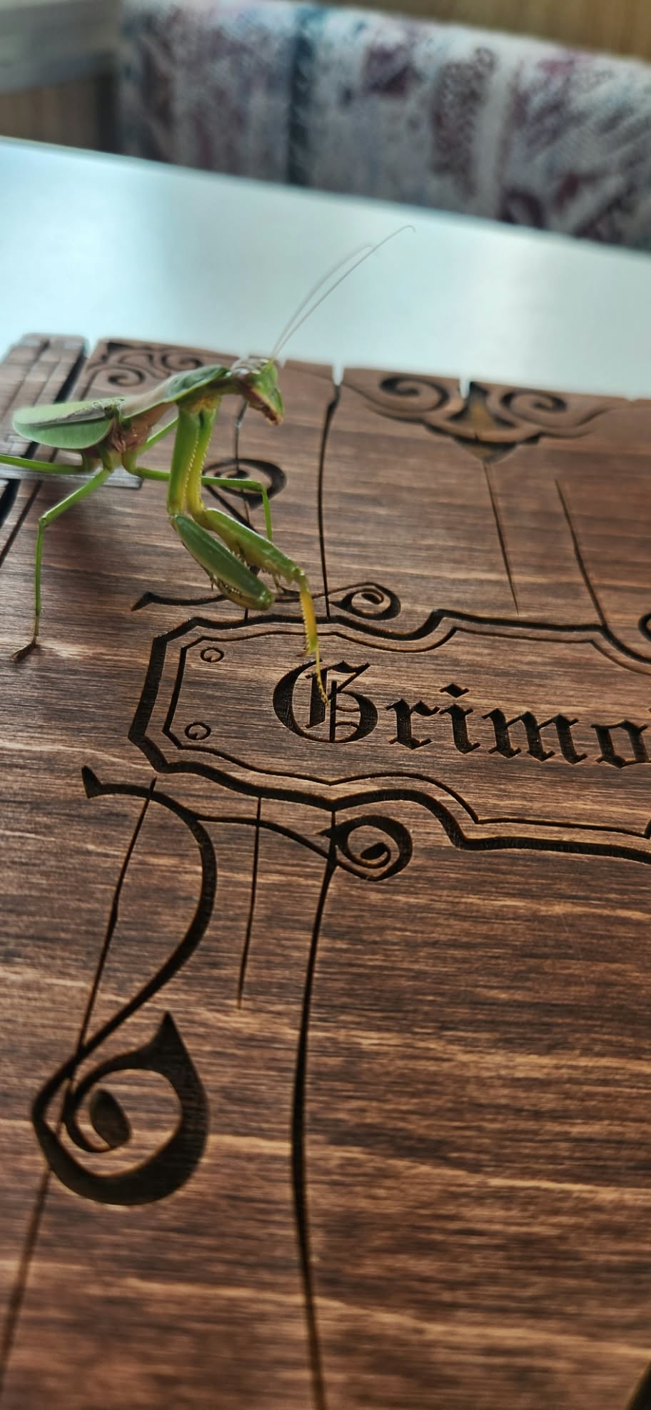 Wooden Journal